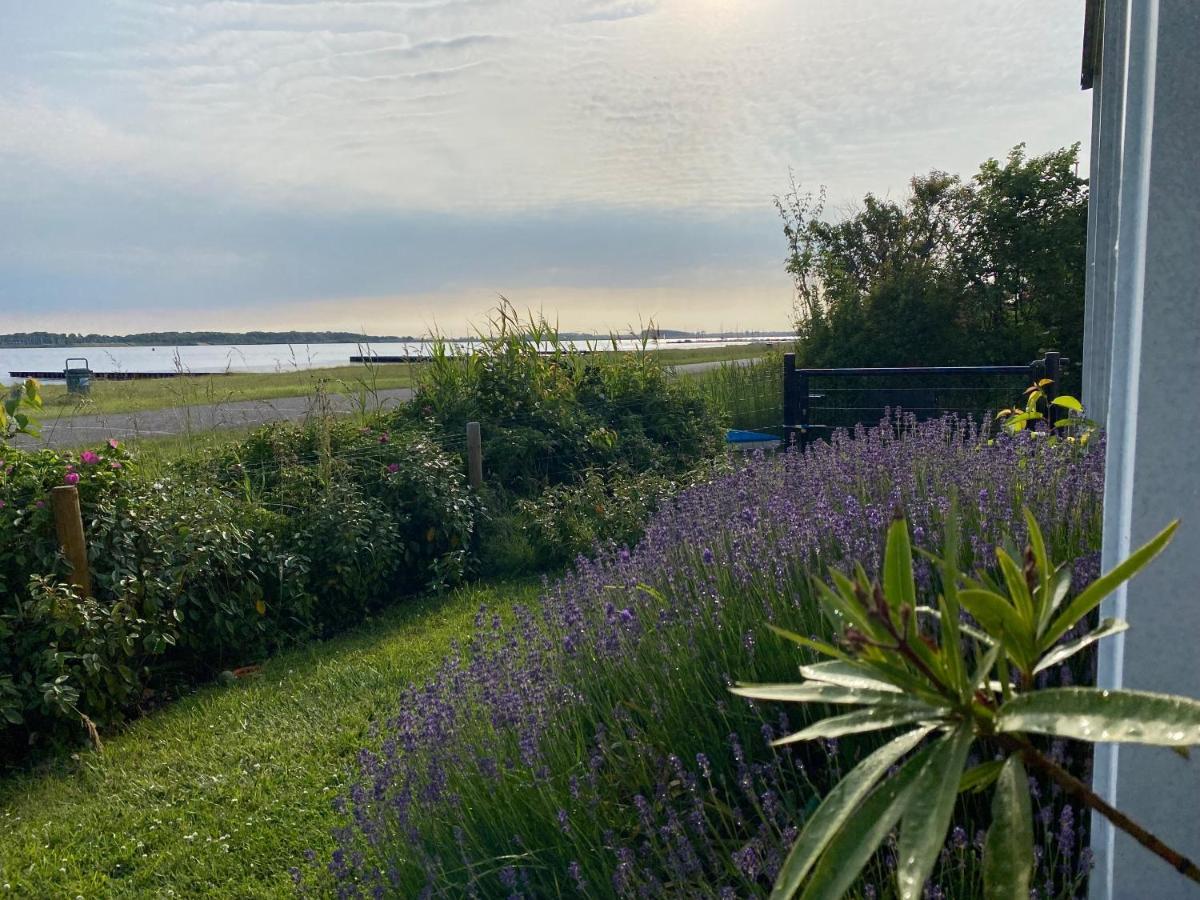 Villa Veerse Meer 坎珀兰 外观 照片